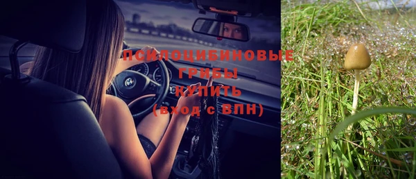 герыч Медногорск